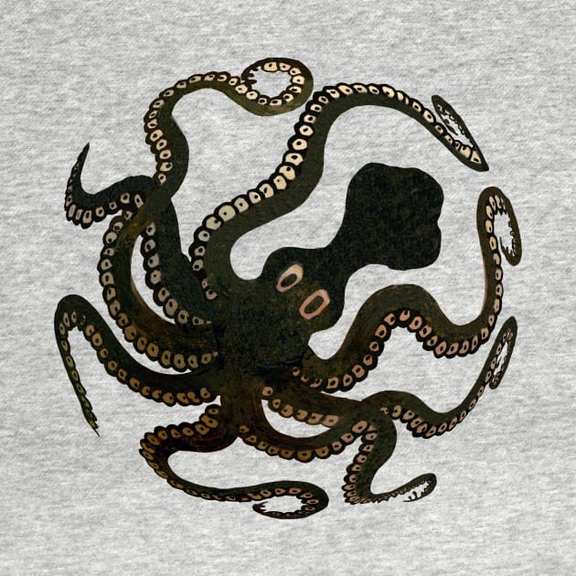 Octopus by Artimaeus